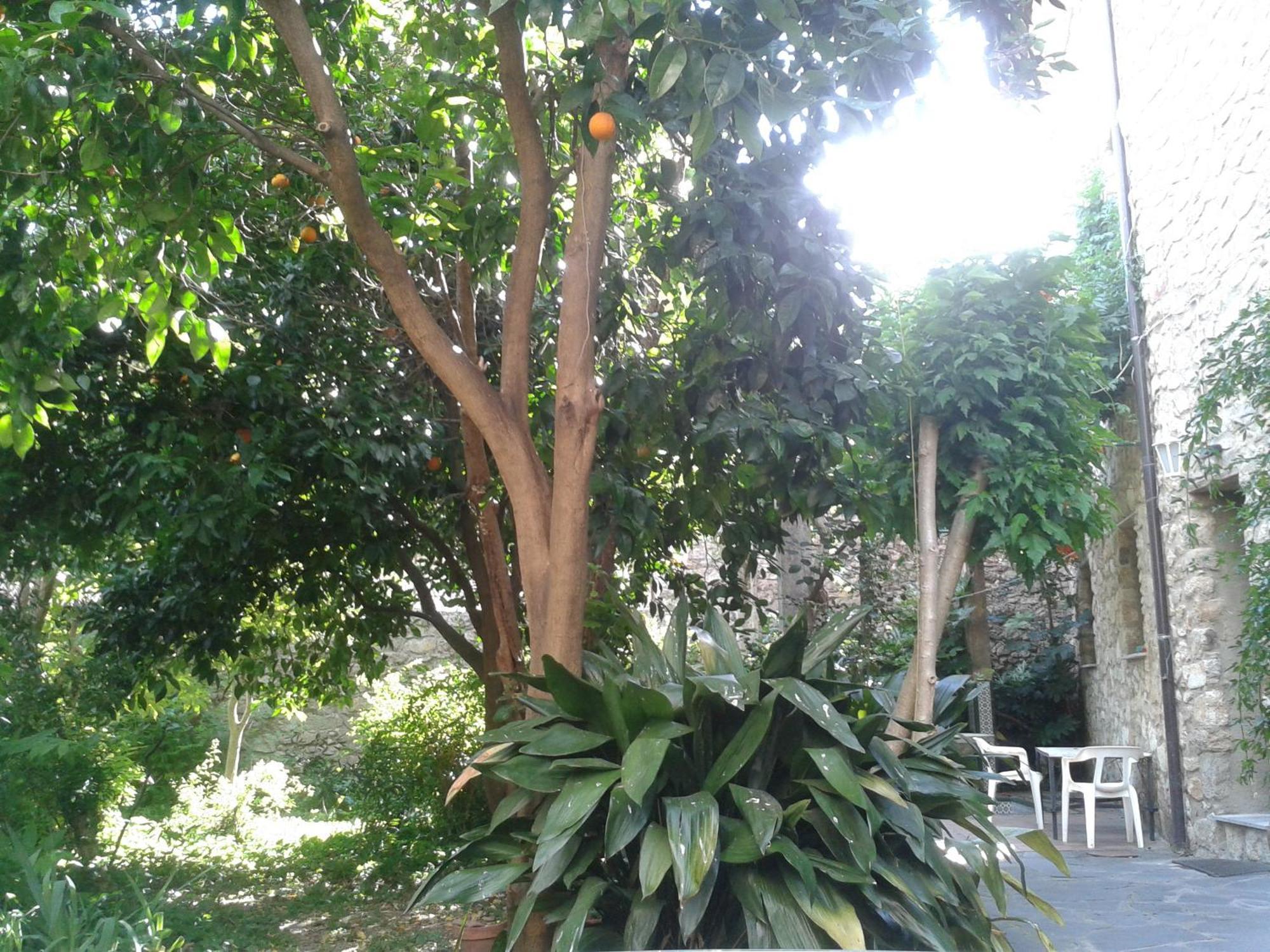 Casa Rural Corvina Acebo Kültér fotó