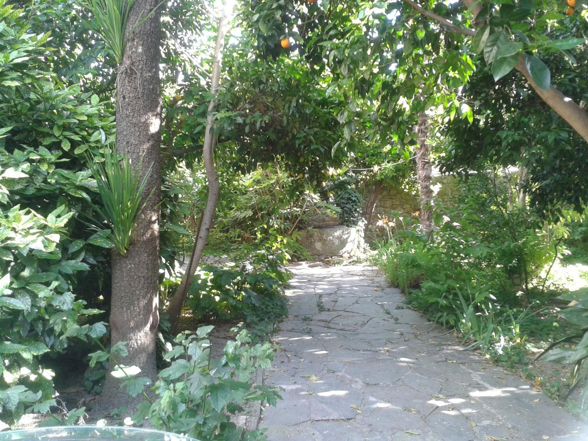 Casa Rural Corvina Acebo Kültér fotó